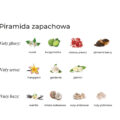 Infografika przedstawiająca nuty głowy, serca i bazy dla eleganckich zapachów z linii K. Hebda Flower Paradox.