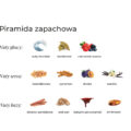 Trzy poziomy nut zapachowych linii K. Hebda Sea Paradox z ikonami przypraw, owoców i akordów morskich.
