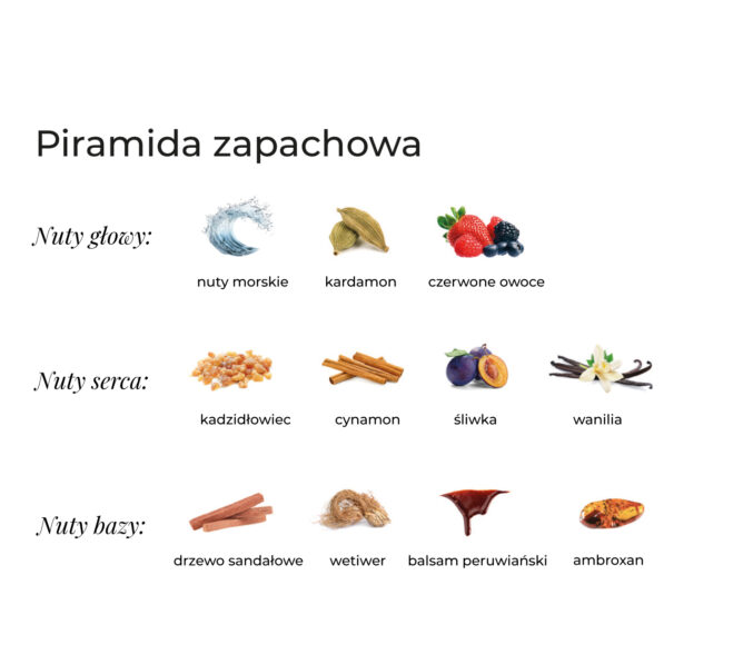 Trzy poziomy nut zapachowych linii K. Hebda Sea Paradox z ikonami przypraw, owoców i akordów morskich.