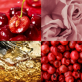Czteroczęściowy kolaż prezentujący nuty zapachowe produktu olejek pod prysznic Cherry Paradox: soczyste wiśnie, pąki różowej róży, złocistą teksturę olejku oraz czerwone owoce różowego pieprzu.