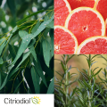 NUTTA® to naturalny spray na kleszcze i komary dla dorosłych i dzieci od 3. roku życia, skutecznie odstraszający owady. Zawiera certyfikowany Citriodiol® oraz cenne olejki eteryczne, w tym z eukaliptusa cytrynowego, grejpfruta i rozmarynu, które przedstawiono na grafice obok instrukcji użycia.