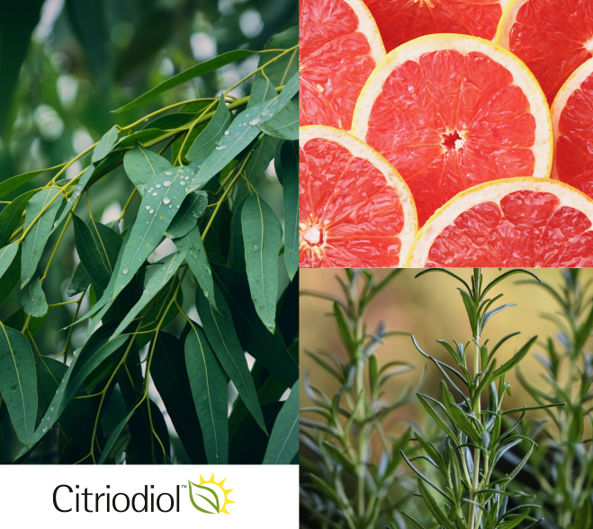 NUTTA® to naturalny spray na kleszcze i komary dla dorosłych i dzieci od 3. roku życia, skutecznie odstraszający owady. Zawiera certyfikowany Citriodiol® oraz cenne olejki eteryczne, w tym z eukaliptusa cytrynowego, grejpfruta i rozmarynu, które przedstawiono na grafice obok instrukcji użycia.