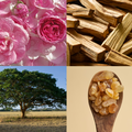 Składniki tworzące hydrolat różany K. Hebda Rosa: woda różana, olejek frankincense, olejek copaiba, olejek palo santo