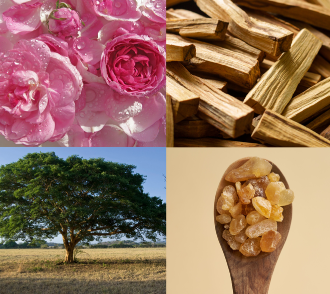 Składniki tworzące hydrolat różany K. Hebda Rosa: woda różana, olejek frankincense, olejek copaiba, olejek palo santo